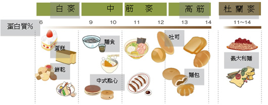 麵粉筋性及用途